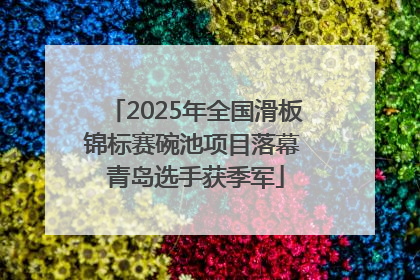 2025年全国滑板锦标赛碗池项目落幕 青岛选手获季军