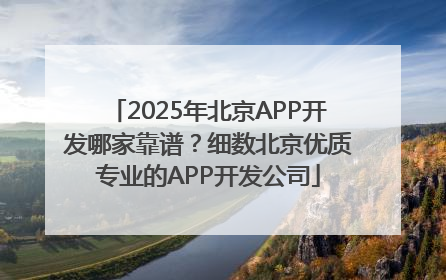 2025年北京APP开发哪家靠谱？细数北京优质专业的APP开发公司