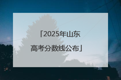 2025年山东高考分数线公布
