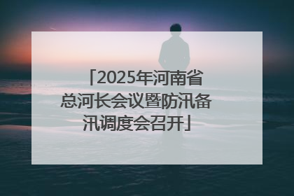 2025年河南省总河长会议暨防汛备汛调度会召开