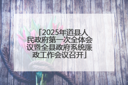 2025年道县人民政府第一次全体会议暨全县政府系统廉政工作会议召开