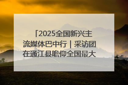 2025全国新兴主流媒体巴中行｜采访团在通江县瞻仰全国最大红军烈士陵园
