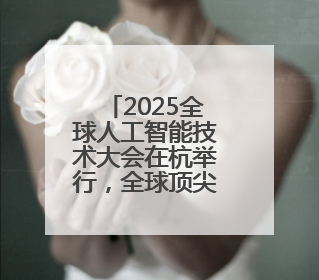 2025全球人工智能技术大会在杭举行，全球顶尖学者共探AI前沿