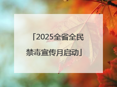 2025全省全民禁毒宣传月启动