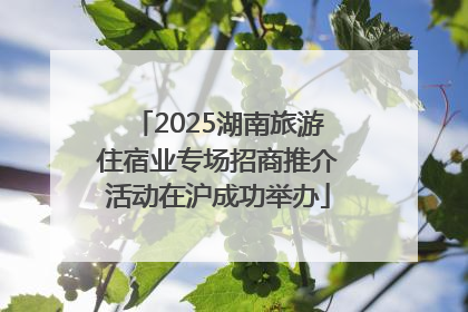 2025湖南旅游住宿业专场招商推介活动在沪成功举办