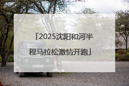 2025沈阳和河半程马拉松激情开跑