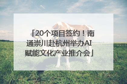 20个项目签约！南通崇川赴杭州举办AI赋能文化产业推介会