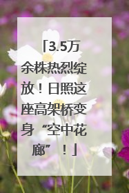 3.5万余株热烈绽放！日照这座高架桥变身“空中花廊”！