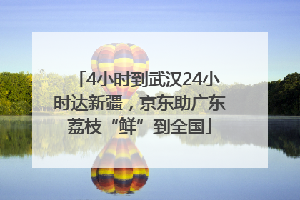 4小时到武汉24小时达新疆，京东助广东荔枝“鲜”到全国