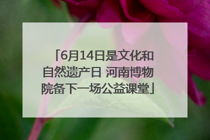 6月14日是文化和自然遗产日 河南博物院备下一场公益课堂