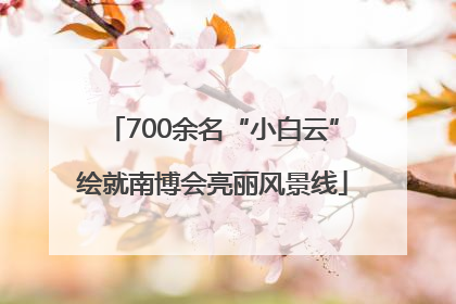 700余名“小白云”绘就南博会亮丽风景线