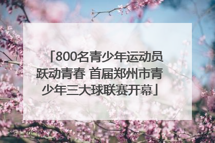 800名青少年运动员跃动青春 首届郑州市青少年三大球联赛开幕