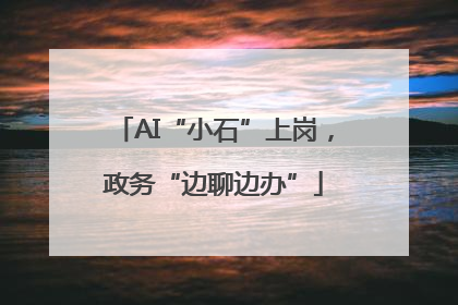 AI“小石”上岗，政务“边聊边办”