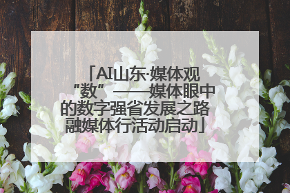 AI山东·媒体观“数”——媒体眼中的数字强省发展之路融媒体行活动启动