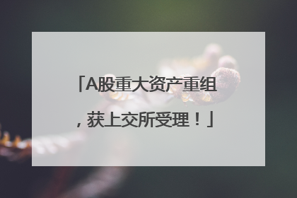 A股重大资产重组，获上交所受理！