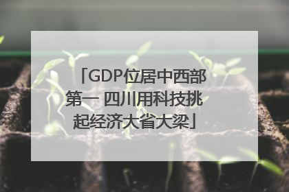 GDP位居中西部第一 四川用科技挑起经济大省大梁