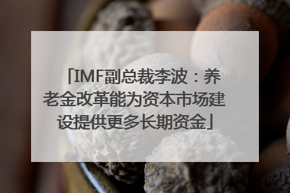 IMF副总裁李波：养老金改革能为资本市场建设提供更多长期资金