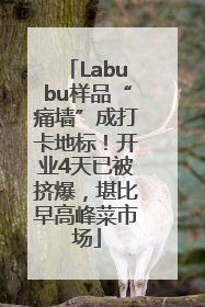 Labubu样品“痛墙”成打卡地标！开业4天已被挤爆，堪比早高峰菜市场