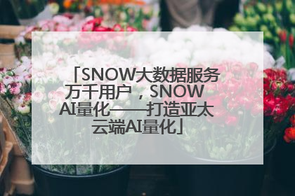 SNOW大数据服务万千用户，SNOW AI量化——打造亚太云端AI量化